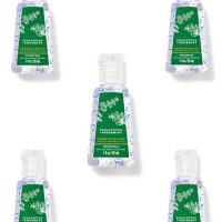 EUCALYPTUS SPEARMINT AG