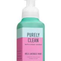 PURELY CLEAN WILD LAVENDER MINT
