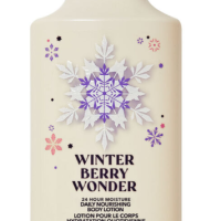 Winter Berry Wonder