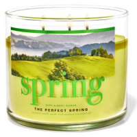 The Perfect Spring